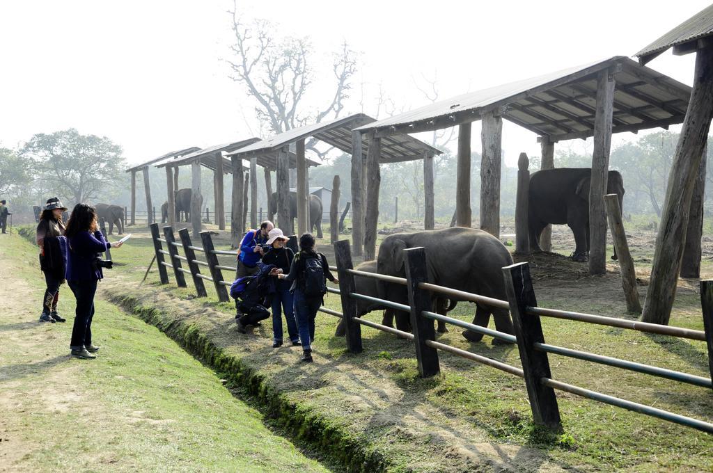 Green Park Chitwan Sauraha Kültér fotó