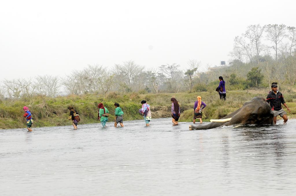 Green Park Chitwan Sauraha Kültér fotó